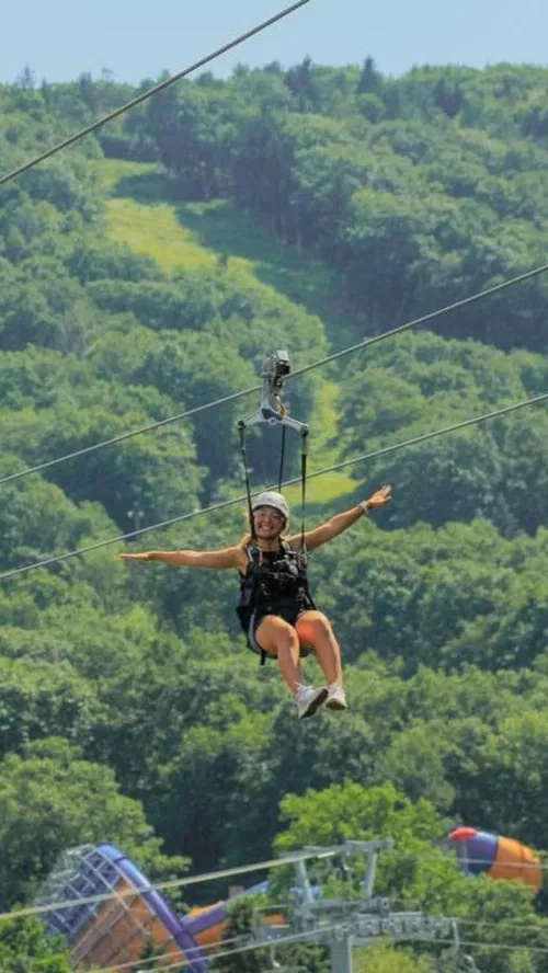 Image taken from https://i.pinimg.com/originals/9f/dc/74/9fdc740c267980ea082d6d0014910116.jpg