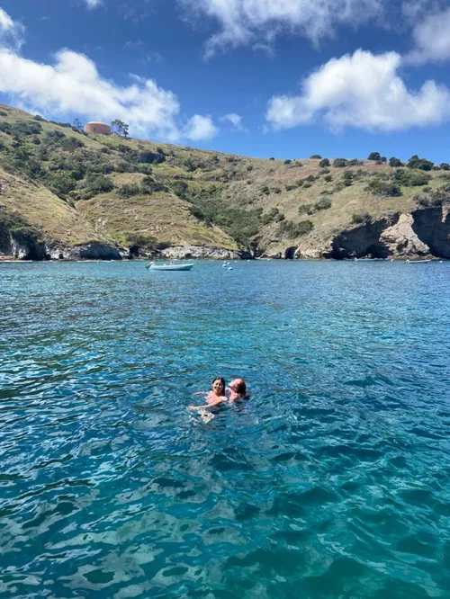 Image taken from https://i.pinimg.com/736x/d6/41/46/d64146c53f7eb1b630665cd99e981068.jpg