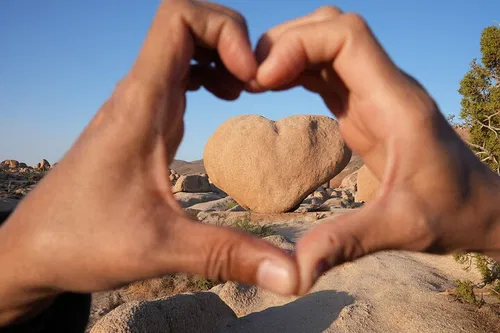 Image taken from https://images.dyvarcity.com/experience-images/dyvarcity_130f06b7386f0591184b4bc59_8f.jpg