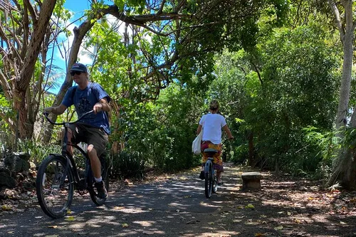 Image taken from https://dyvarcitymedia.b-cdn.net/experience-images/diskovery_559eaea68f49971cf959b3e6e_1751619820573_8c.jpg?format=webp&amp;width=800