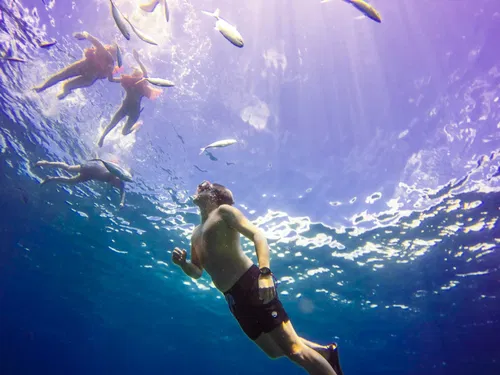 Image taken from https://www.passionparadise.co/wp-content/uploads/2017/01/GOPR2109-1024x768.jpg