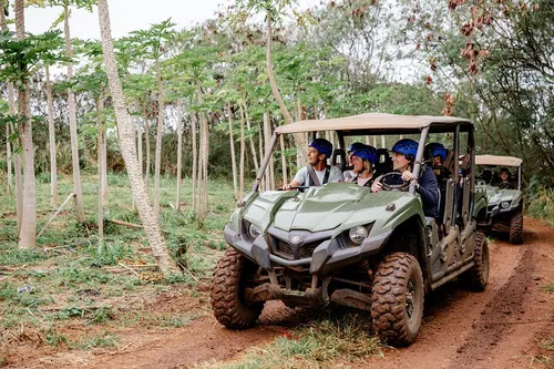 Image taken from https://dyvarcitymedia.b-cdn.net/experience-images/diskovery_881736091df1a65934aece158_1751625735317_a7.jpg?format=webp&amp;width=800