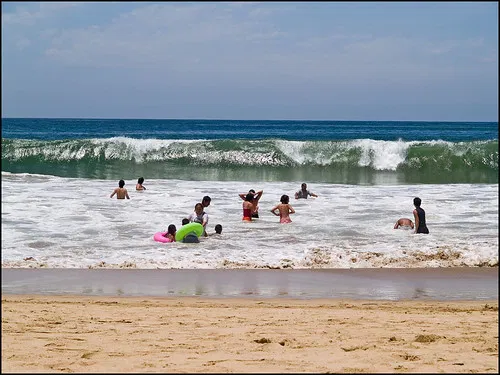 Image taken from https://live.staticflickr.com/210/496546774_cce2442e86.jpg