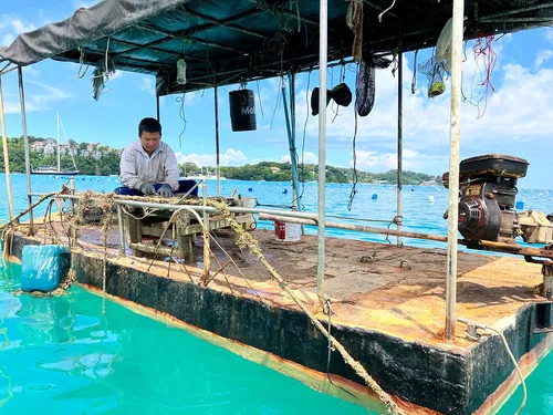 Image taken from https://static.wixstatic.com/media/1258d9_649ba3a5070d4d359672d15d4d68fee9~mv2.jpg/v1/fill/w_980,h_735,al_c,q_85,usm_0.66_1.00_0.01,enc_avif,quality_auto/1258d9_649ba3a5070d4d359672d15d4d68fee9~mv2.jpg