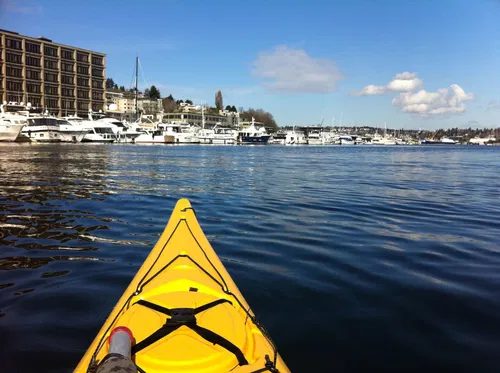Image taken from https://uploads.visitseattle.org/2013/07/Kayaking083-1620x1210.jpg