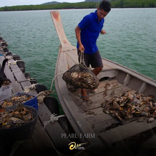 Image taken from https://t1.blockdit.com/photos/2024/01/65af2beb24b172dfa8fa5b14_800x0xcover_L6L7Scfo.jpg