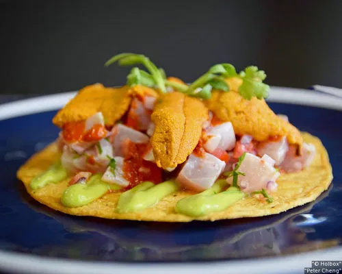 Image taken from https://d3h1lg3ksw6i6b.cloudfront.net/guide/xlarge/569592_3.jpg