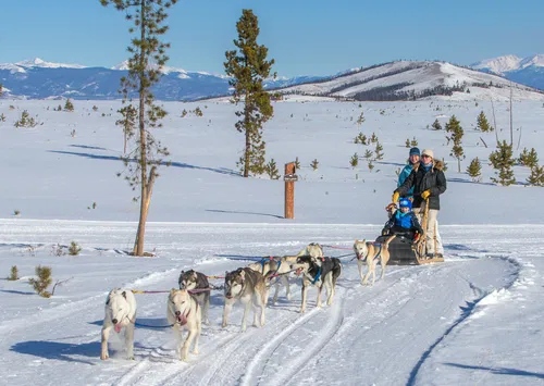 Image taken from https://ggchamber.com/wp-content/uploads/2022/11/SMR-Dog-Sledding-Scott-Pope-credit-scaled.jpg