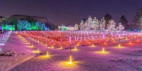 Image taken from https://www.uncovercolorado.com/wp-content/uploads/2021/09/denver-botanic-gardens-blossoms-of-light-colorado-display.jpeg