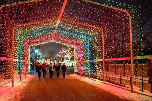 Image taken from https://chicagoparent.nyc3.cdn.digitaloceanspaces.com/wp-content/uploads/2021/11/ZooLights-Photo-Chicago-Parent-746x500.jpeg