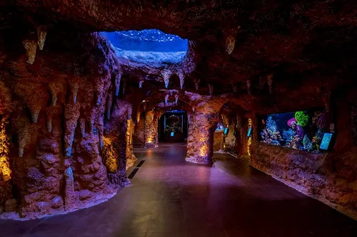 Image taken from https://images.dyvarcity.com/experience-images/dyvarcity_8532be69b94ed4d2354c04137_5f.jpg