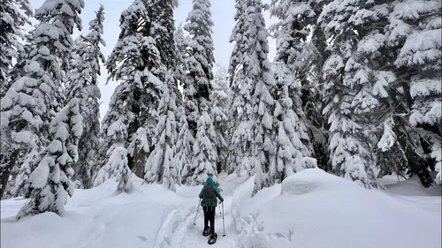 Image taken from https://i.ytimg.com/vi/3btxto30sNk/maxresdefault.jpg