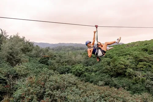 Image taken from https://dyvarcitymedia.b-cdn.net/experience-images/diskovery_881736091df1a65934aece158_1751625735336_f3.jpg?format=webp&amp;width=800