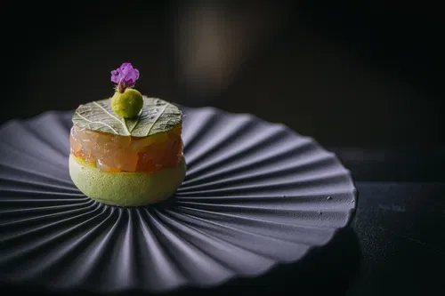 Image taken from https://www.granddelmar.com/content/uploads/2022/01/EWP2023_Addison-2491-scaled.jpg