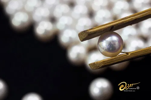 Image taken from https://phuketpearl.com/wp-content/uploads/2023/12/Gallery-11.png