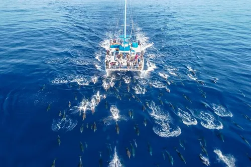 Image taken from https://dyvarcitymedia.b-cdn.net/experience-images/diskovery_e4742686a8f7b60e144161d12_1751628566090_02.jpg?format=webp&amp;width=800