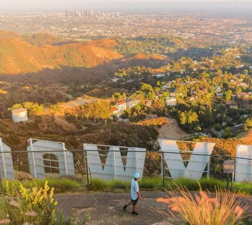 Image taken from https://i.pinimg.com/736x/ed/30/d0/ed30d0f6963cacdbbf90a5a11b30e332.jpg