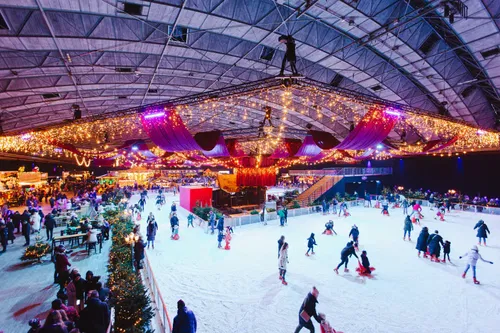 Image taken from https://winterfestivalamsterdam.com/wp-content/uploads/2023/10/Ice-Rink-WInter-Paradise.webp