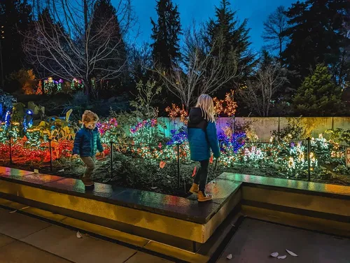 Image taken from https://www.parentmap.com/sites/default/files/styles/1200x1200_scaled/public/2021-12/Garden%20d'Lights%202021%20kids%20walking%20on%20low%20wall%202%20credit%20Natasha%20Dillinger_0.jpg?itok=ooOFyZ_e