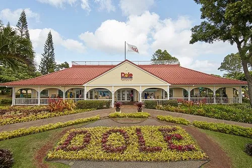 Image taken from https://dyvarcitymedia.b-cdn.net/experience-images/diskovery_77572295cd7d9b097c92f2b31_1751621466087_34.jpg?format=webp&amp;width=800