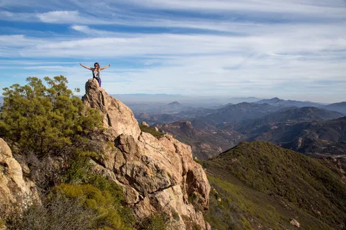 Image taken from https://images.squarespace-cdn.com/content/v1/5f9af6090c0a7348fa94da7e/1605738858215-VPTKXDRJOUVSC6EJG6AC/IMG_4221-21.jpg