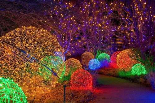 Image taken from https://www.uncovercolorado.com/wp-content/uploads/2021/09/denver-botanic-gardens-colorado-blossoms-of-light.jpeg