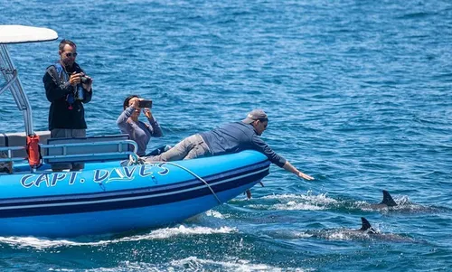 Image taken from https://img.grouponcdn.com/pwa_test/2bk1exR8a5CRbEJDPRnd8dbDCxbx/2b-720x480/v1/c870x524.jpg