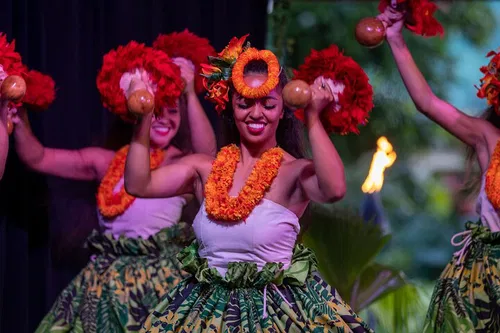 Image taken from https://dyvarcitymedia.b-cdn.net/experience-images/diskovery_5c9af24b2eb7eb87fdf514f90_1751627281028_c2.jpg?format=webp&amp;width=800