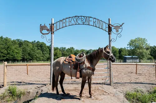 Image taken from https://dyvarcitydevmedia.b-cdn.net/experiences-images/dyvarcity_img_3d2987e29784e2f21623f5928_1742162170727_99.jpg?format=webp&amp;width=800