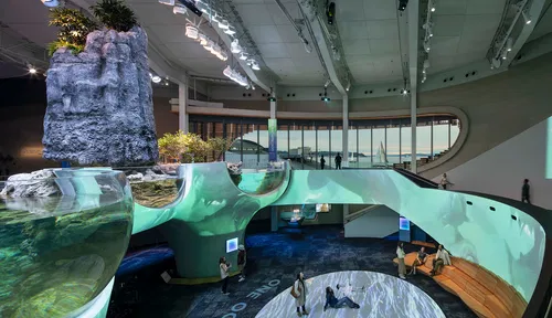 Image taken from https://www.metalocus.es/sites/default/files/2024-11/metalocus_LMN-Architects_Seattle-Aquarium_31.jpg