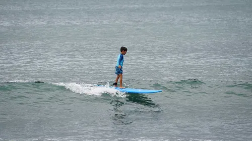 Image taken from https://wavesurfing.mx/wp-content/uploads/2022/10/Surf-Lessons.jpg
