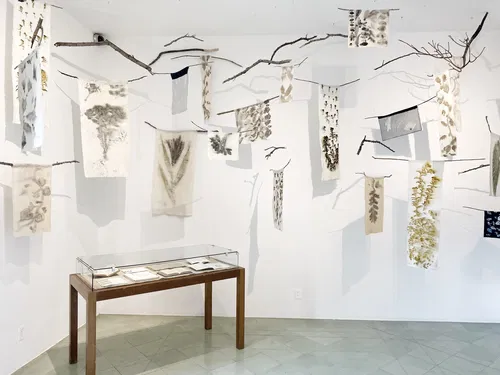 Image taken from https://images.squarespace-cdn.com/content/v1/56c13cc00442627a08632989/dd98421b-f943-4d3e-80c2-86352d15582c/textilemuseumoaxacatable.jpg