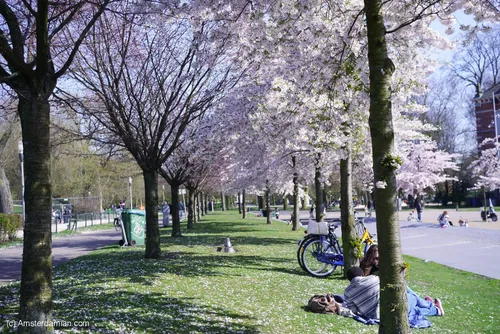 Image taken from https://i.pinimg.com/originals/ee/e9/3a/eee93a0b4ab559c09613edfc8d51b180.png