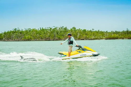 Image taken from https://images.dyvarcity.com/experience-images/dyvarcity_52f344f88662eb1e22a1a3c1d_d2.jpg?format=webp&amp;width=800