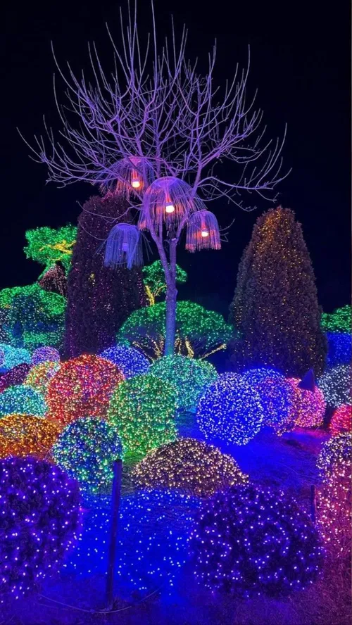 Image taken from https://i.pinimg.com/originals/7d/8b/55/7d8b55fdde4b3f796c5870063ac892da.jpg