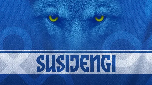 Book Tickets: Susijengi vs Ranska at ESPOO METRO AREENA