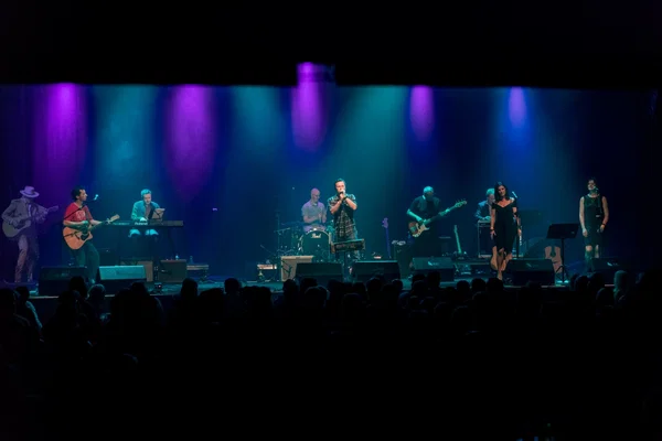 Neil Young Tribute: Dublin's Harvest Experience