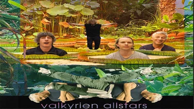 Valkyrien Allstars Live in Halden!