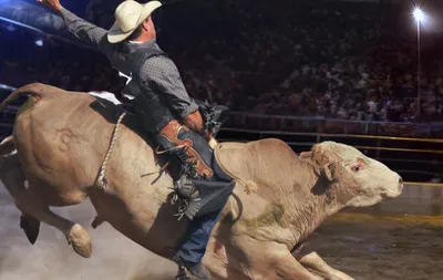 Portland Bulls n' Broncos: Rodeo Showdown!
