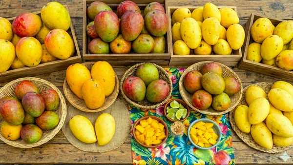 Island SPACE Mango Festival 2026 Pembroke Pines