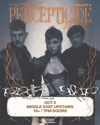 Pixel Grip: Cambridge's Electrifying Music Night