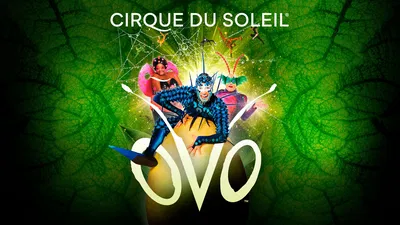 Experience the Wonders of OVO: Cirque du Soleil Flies into Sunrise!