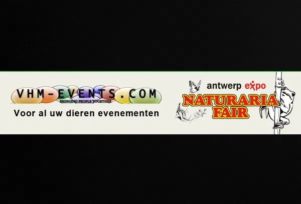 Naturaria Fair Antwerp 2025 | Belgium's Largest Terrarium Event
