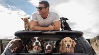 An Evening with Lee Asher: Compassion and Canine Connection at The Parker!
