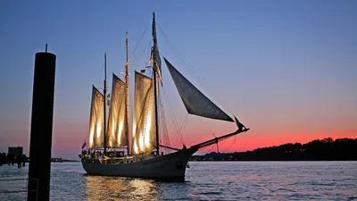 Elbe Brunch Cruise 2025: Hamburg Culinary Sail