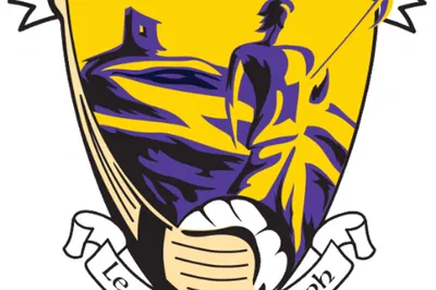 GAA Showdown: Castletown v Shelmalier & Kilanerin v Glynn-Barntown