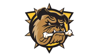 Bulldogs Hockey: Brantford vs. Owen Sound!