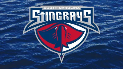 Stingrays vs. Everblades: Minor League Hockey Action!