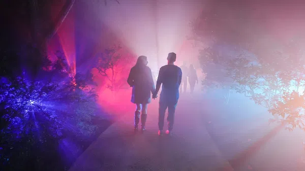 Dazzling Nights Orlando: Holiday Light Experience