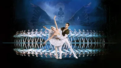 Buffalo Ballet: Swan Lake Stars Shine!